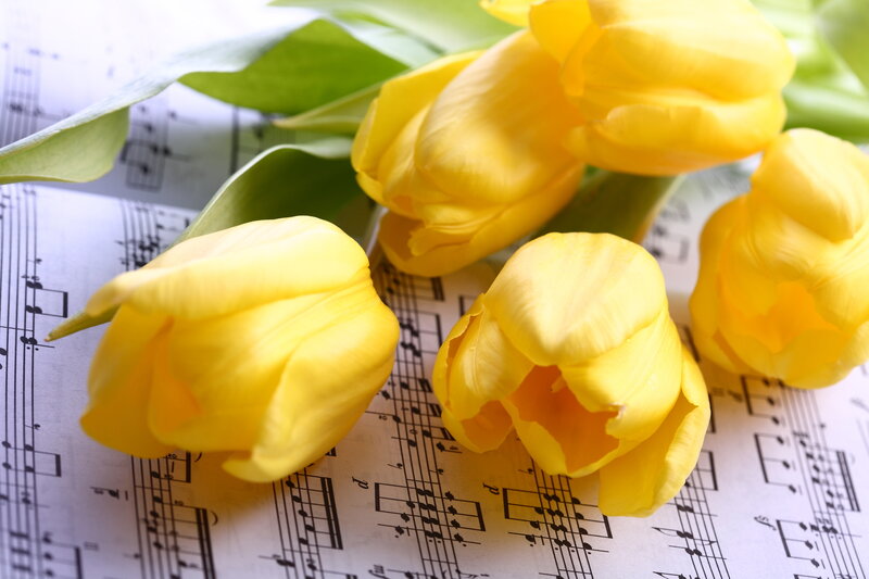 Yellow Tulips on Sheet Music