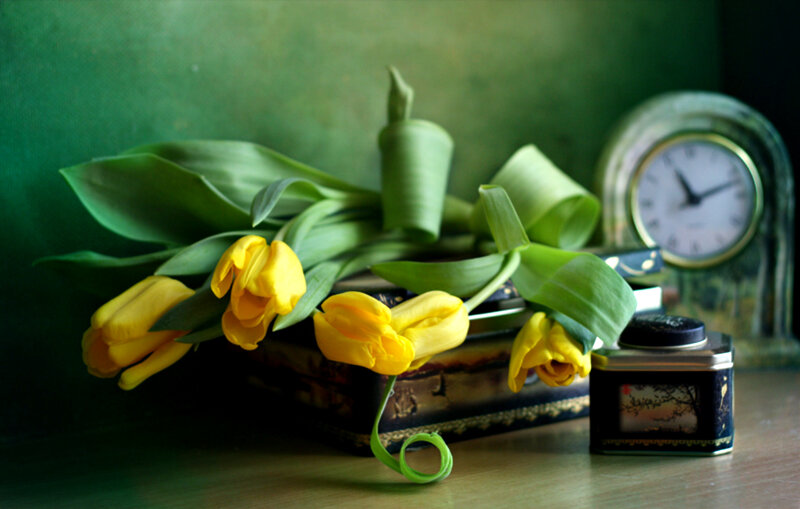 Yellow Tulips on Table — Green