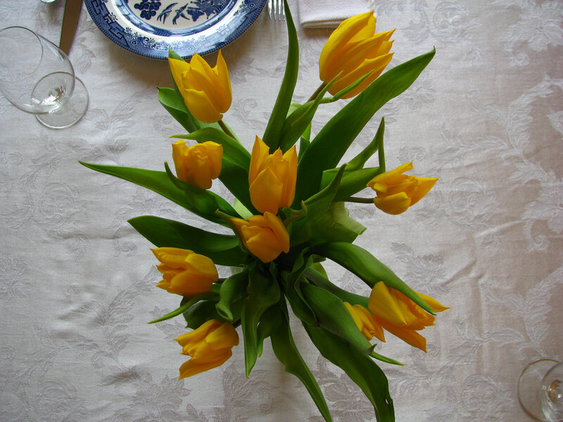 Yellow Tulips on Table