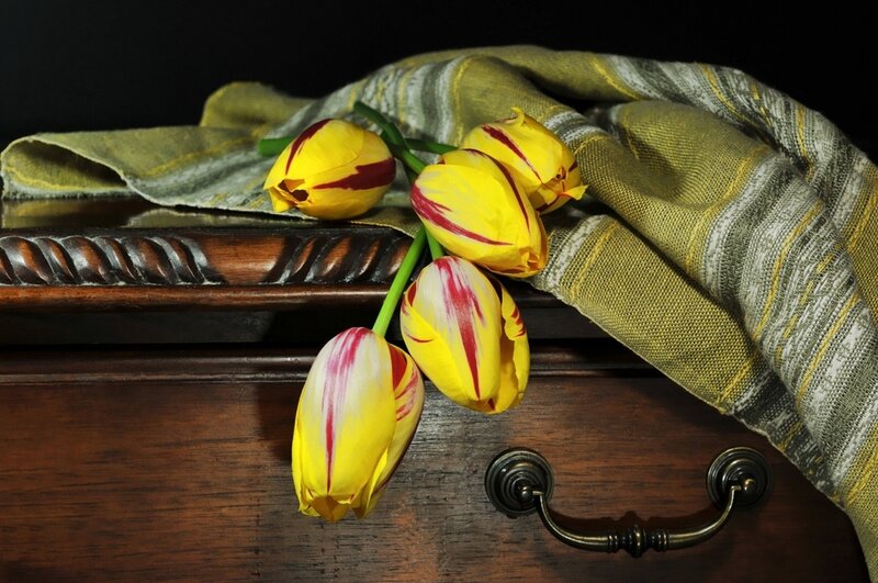 Yellow Tulips on Wood — Dramatic