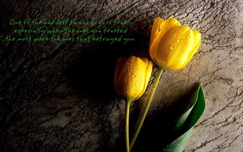 Yellow Tulips on Wood — Reflective