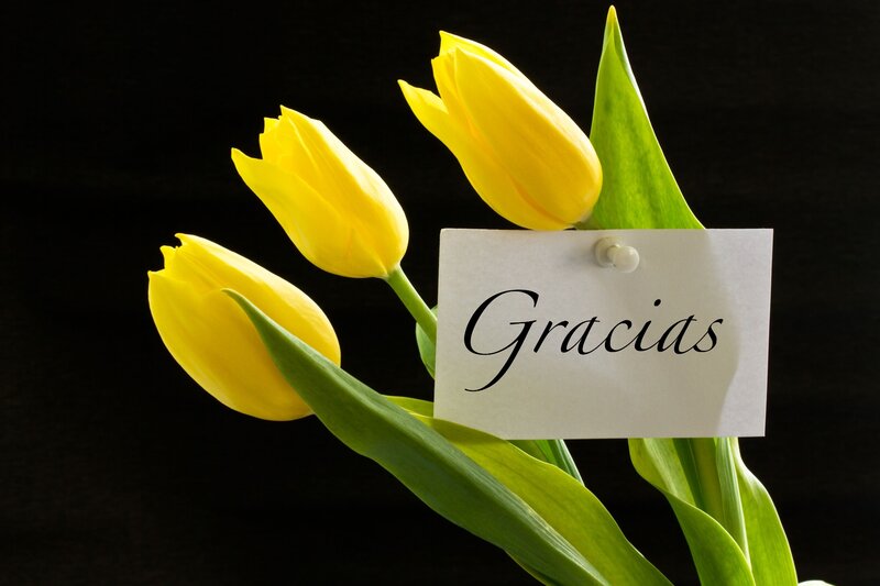 Yellow Tulips with Note