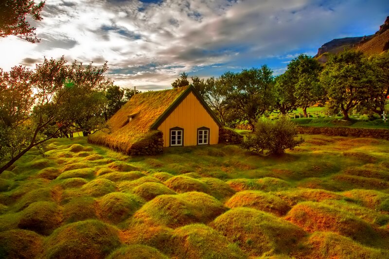 Yellow Turf House