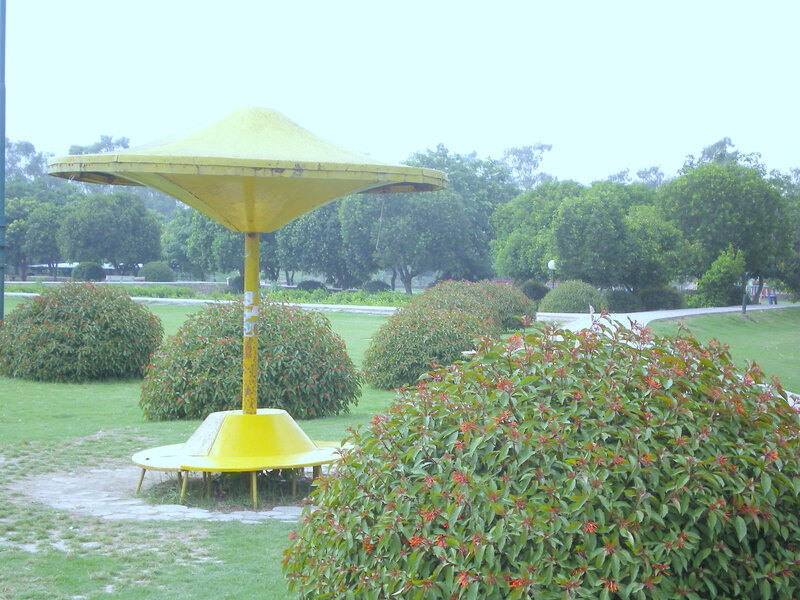 Yellow umbrella in a park