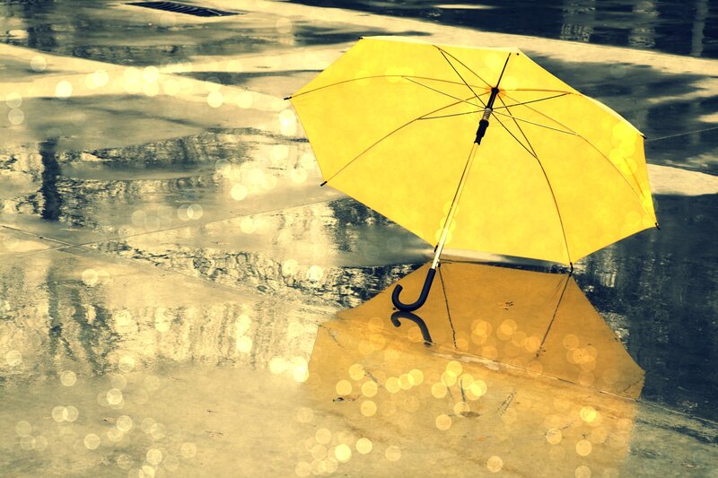 yellow umbrella in rain puddle