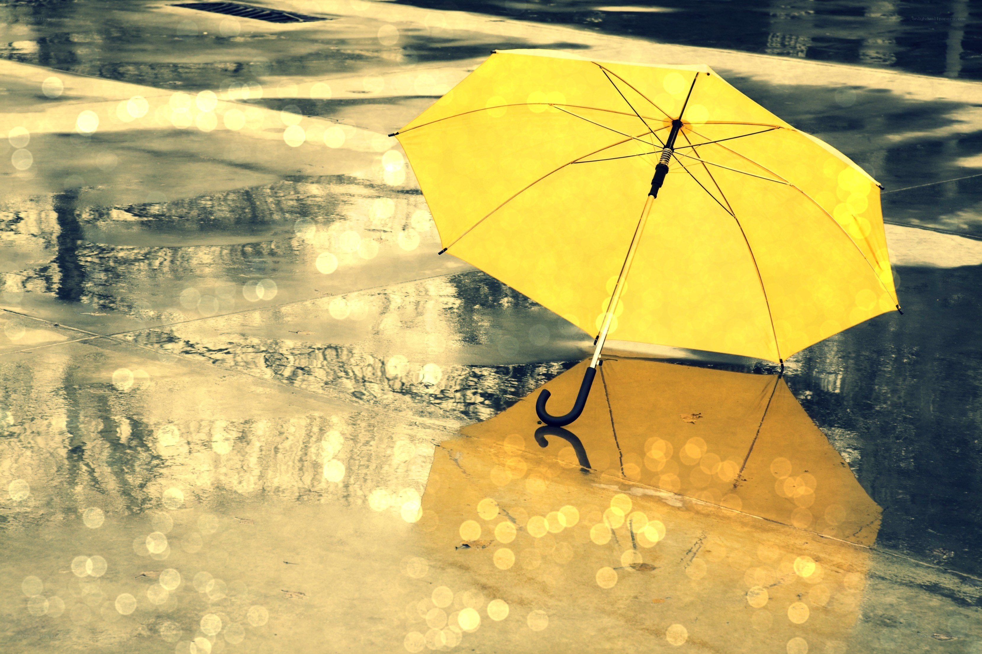 yellow umbrella in rain puddle