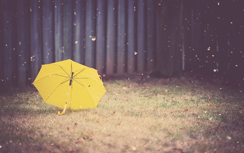 yellow umbrella on grass
