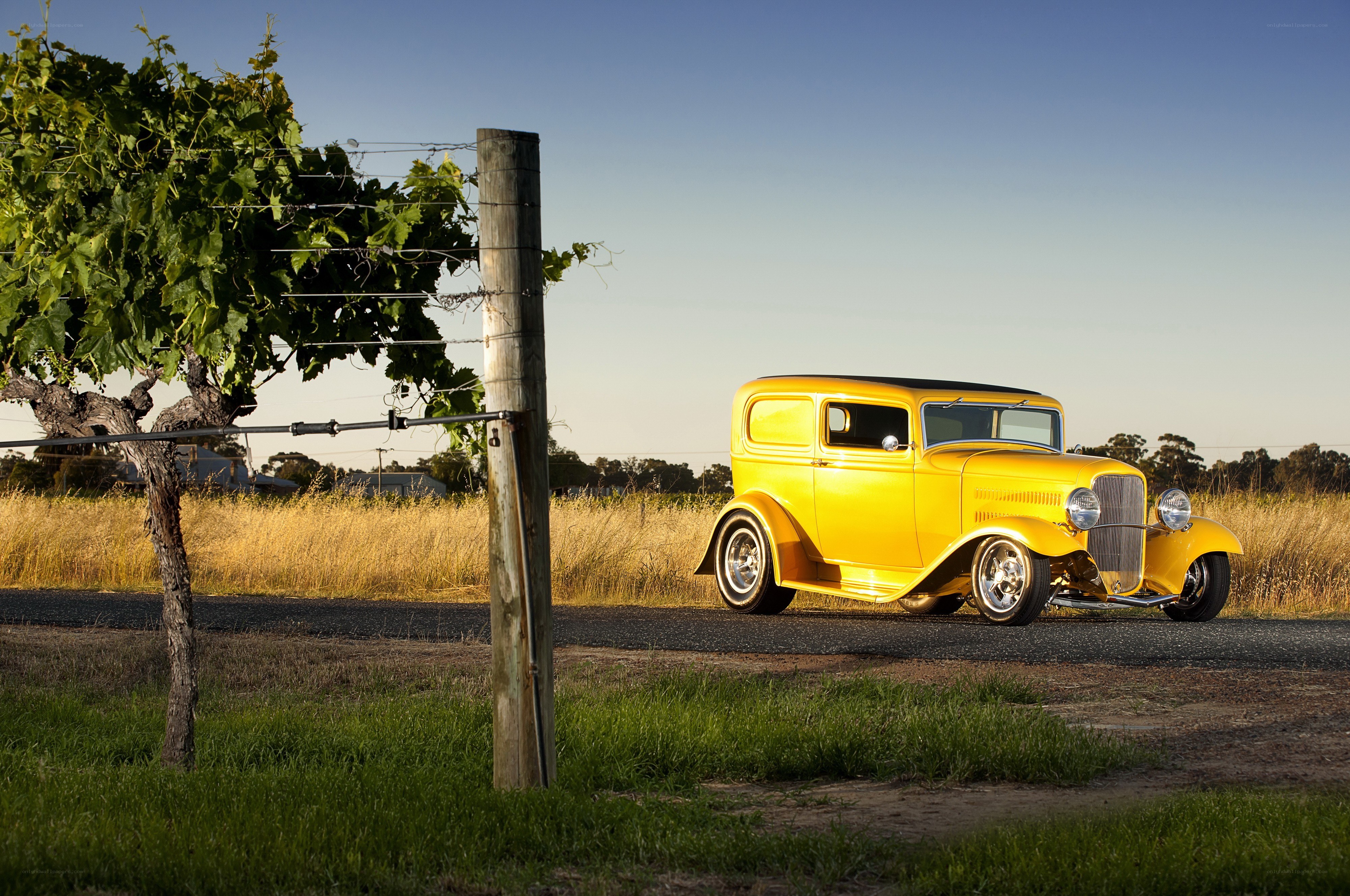 Yellow vintage car in vineyard