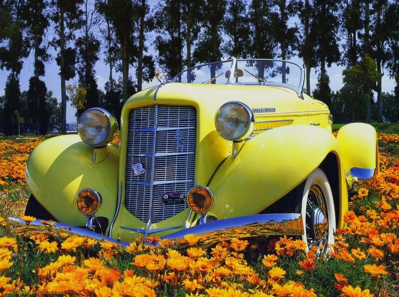 Yellow Vintage Car — Serene, Afternoon, Photograph, Flowers