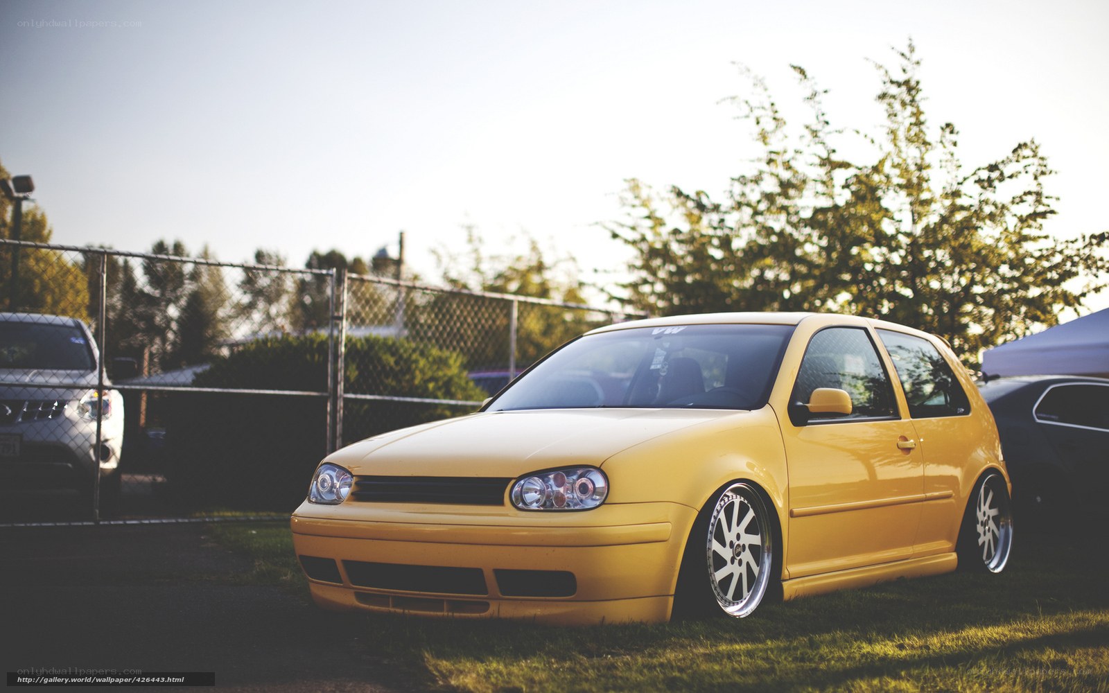 Yellow Volkswagen Golf on grass