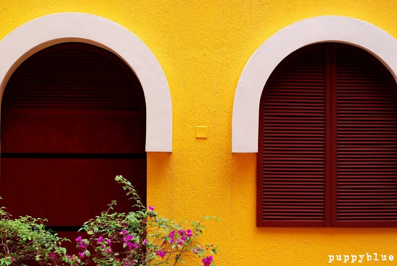 yellow wall with arched windows