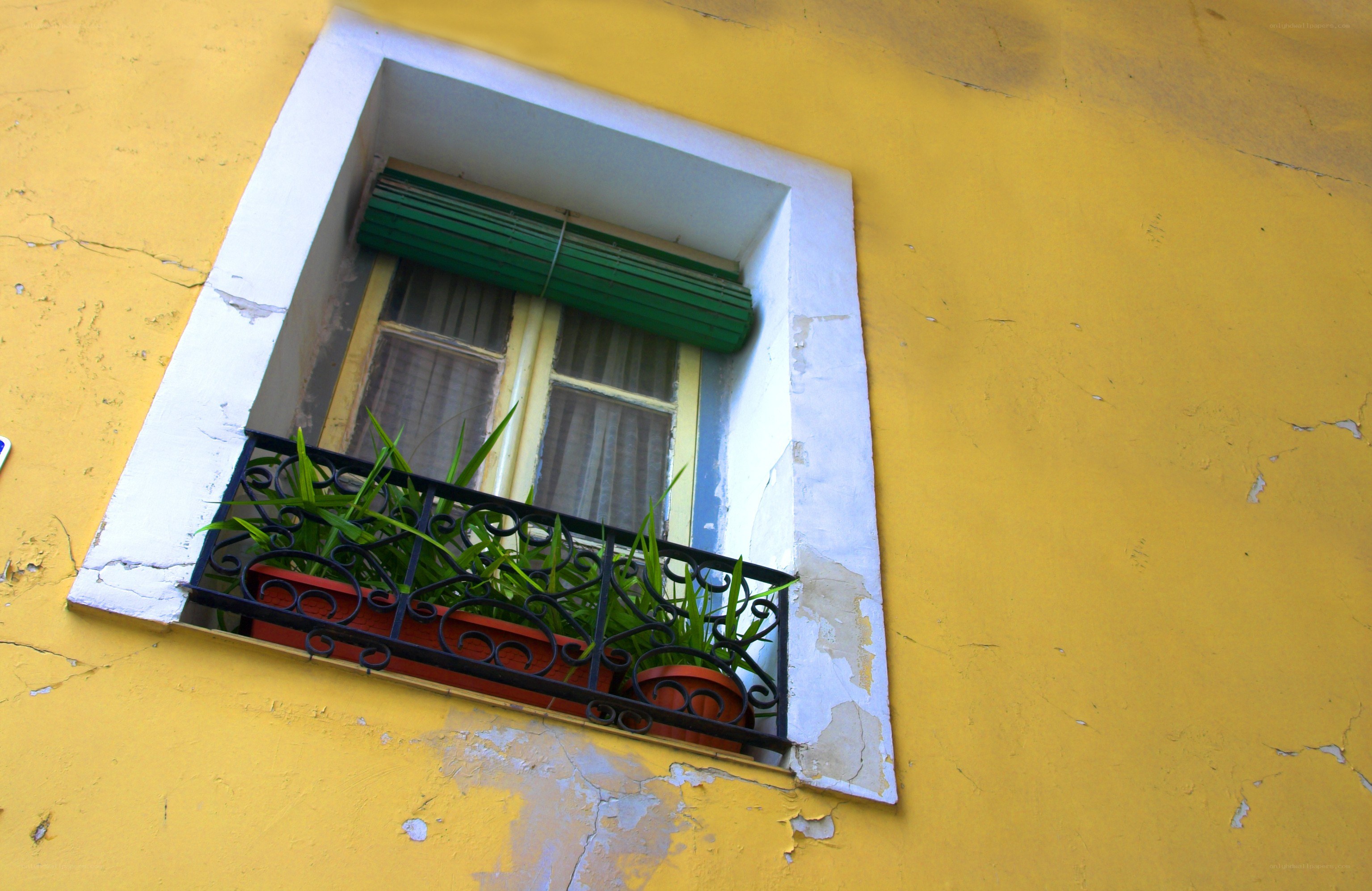 yellow wall with window