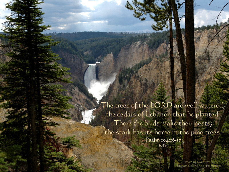 Yellowstone Canyon Waterfall — Green