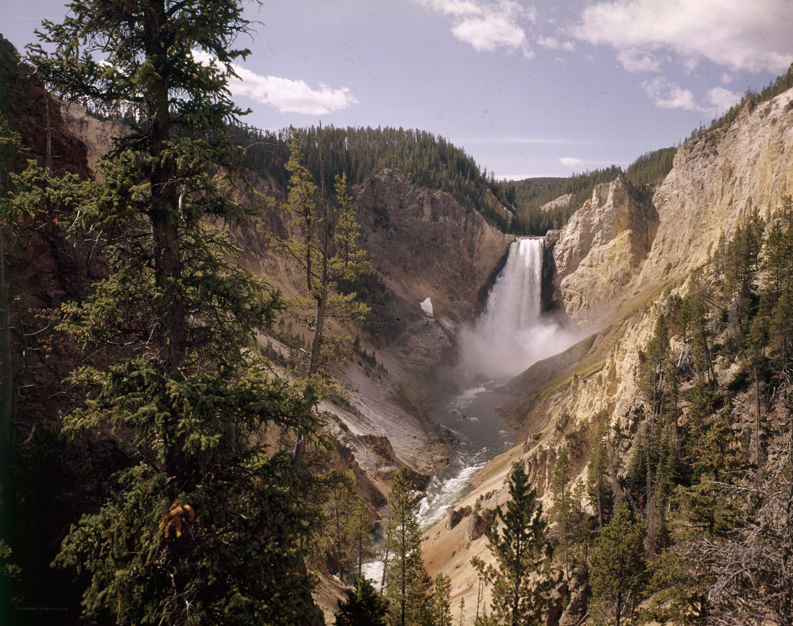 Yellowstone Falls in a Canyon