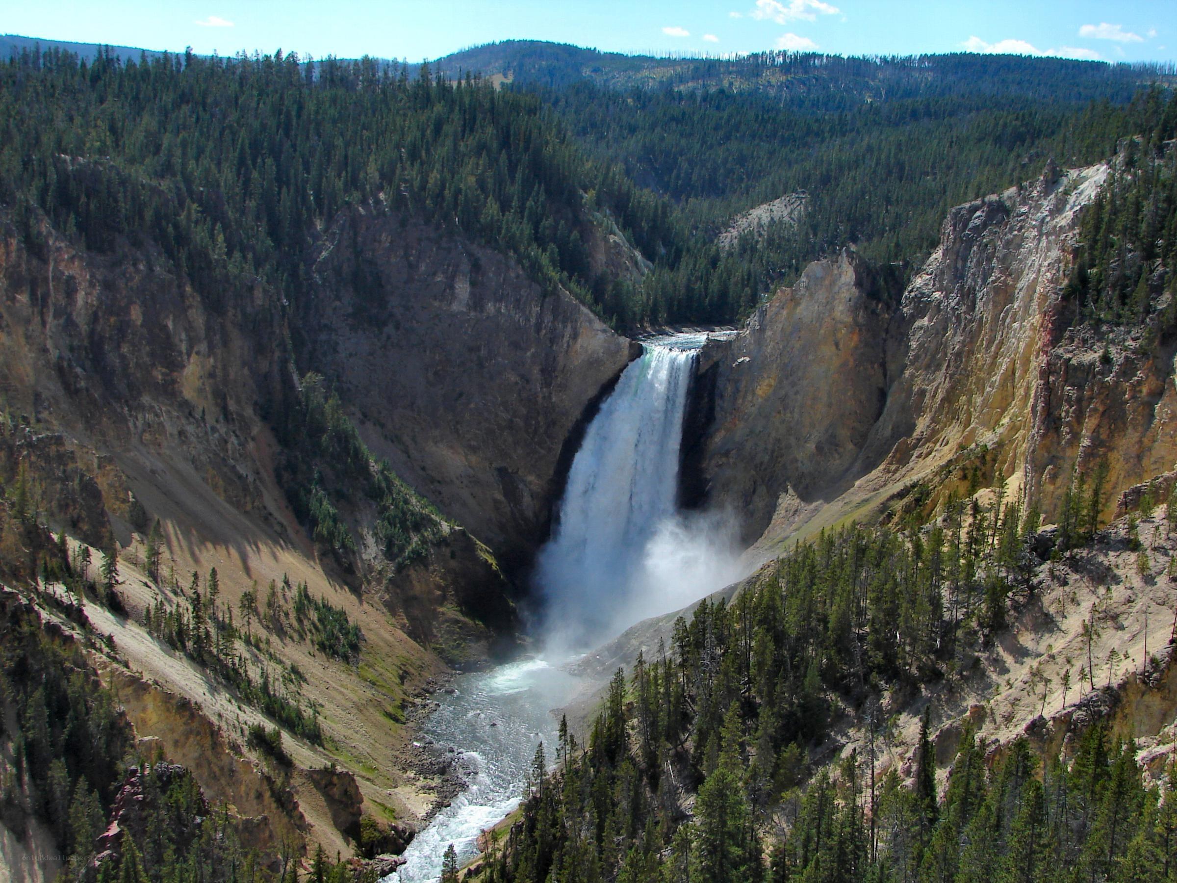Yellowstone Falls in a forested canyon
