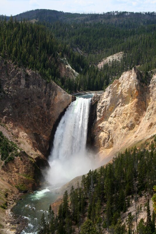 Yellowstone Falls in forest