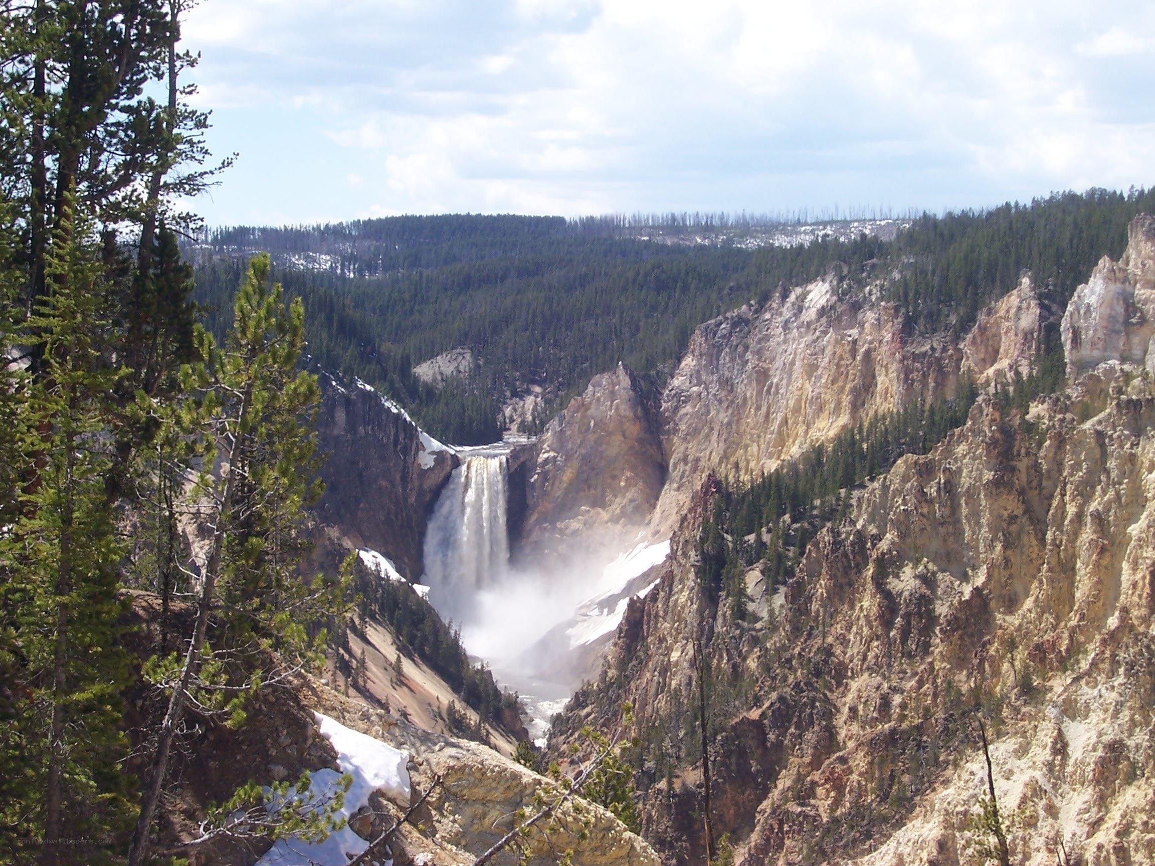 Yellowstone Falls in Spring