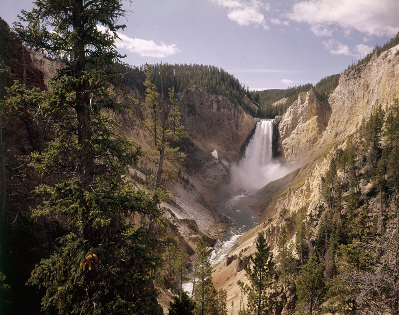 Yellowstone Falls