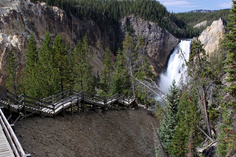Yellowstone Falls viewing area