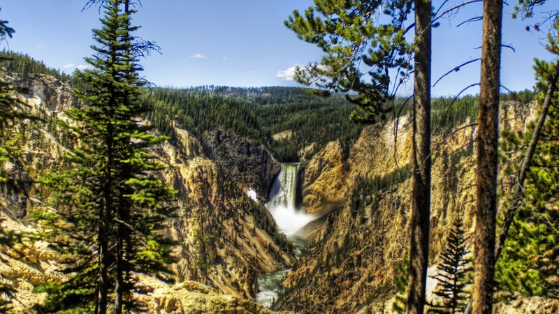 Yellowstone Waterfall — Green, Dramatic, Afternoon, Photograph, Trees, Canyon