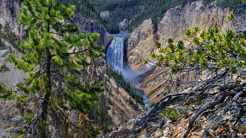 Yellowstone Waterfall — Green, Dramatic, Afternoon, Photograph, Trees