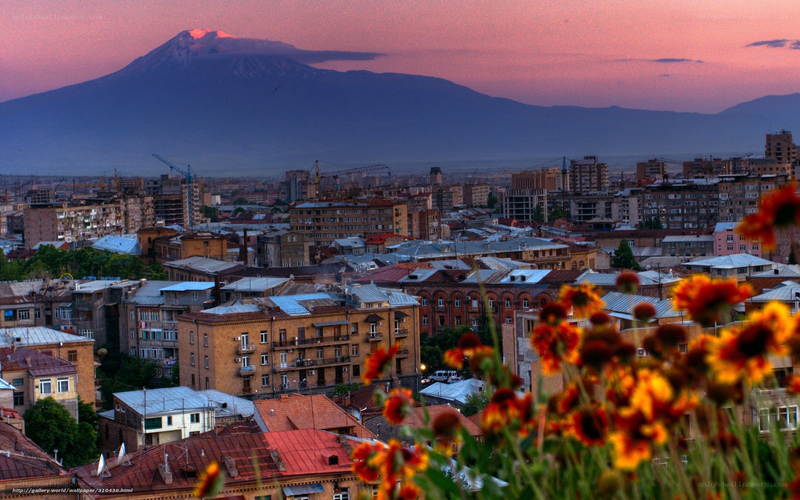 Yerevan cityscape with Mount Ararat