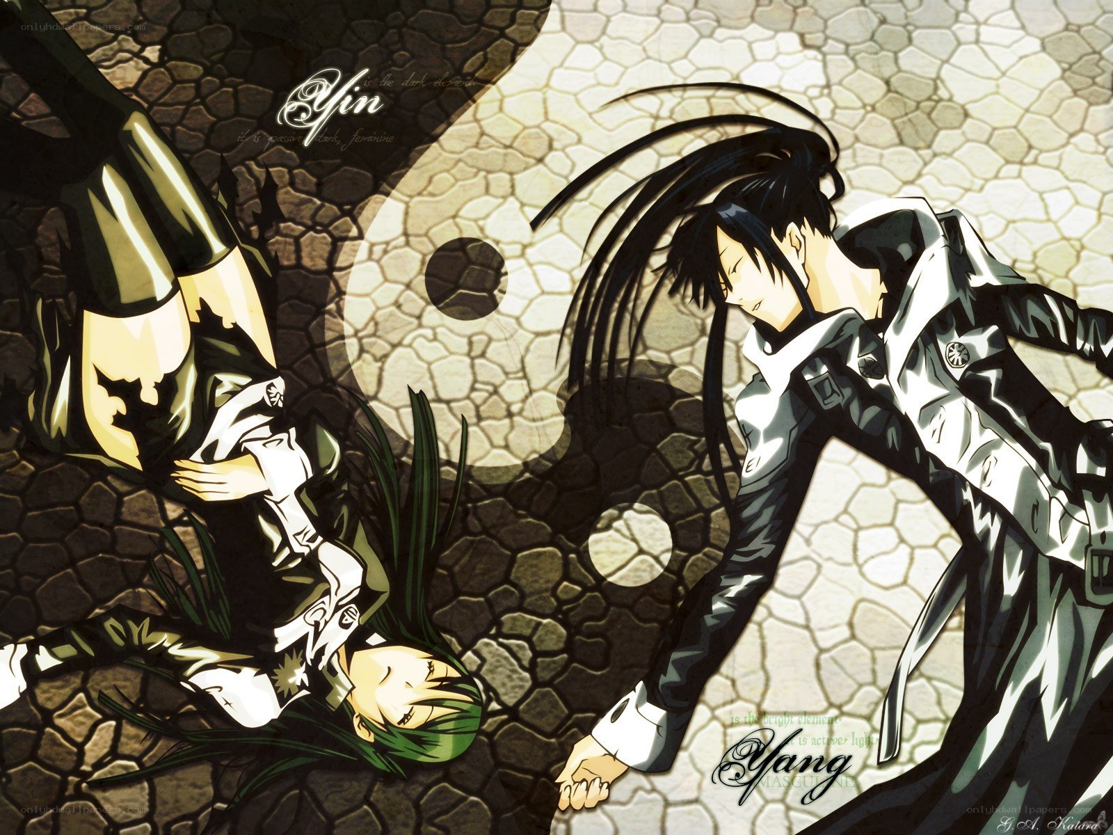 Yin and yang anime characters