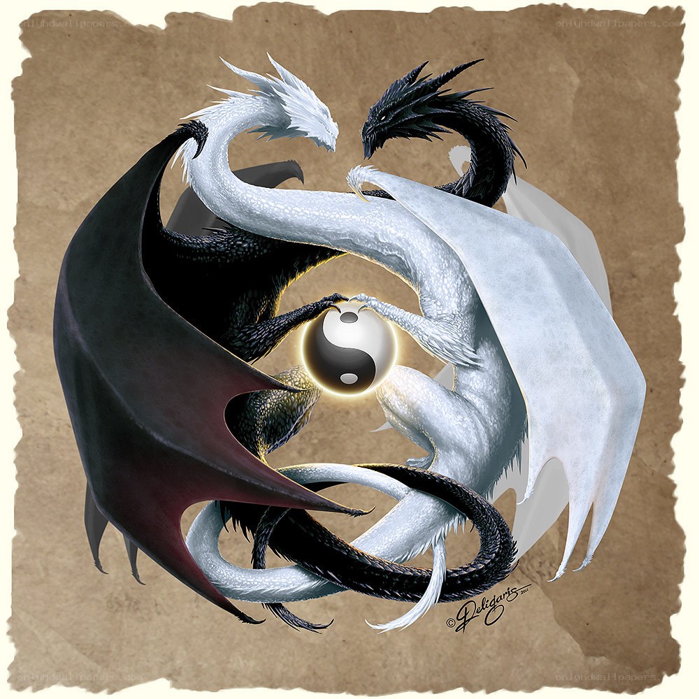 Yin and yang dragons