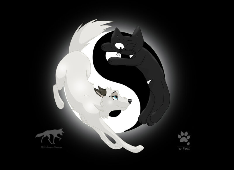 yin yang cat and wolf