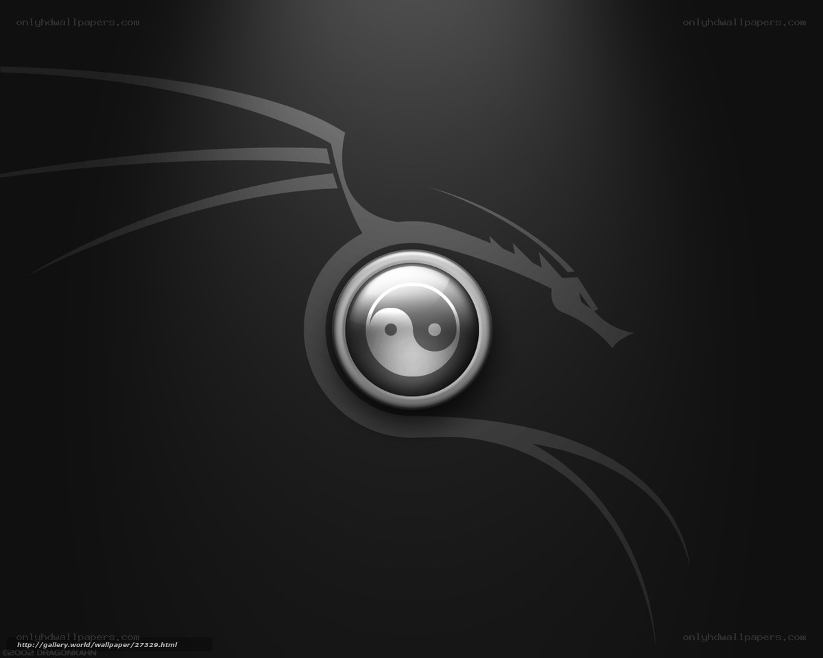Yin-yang dragon design
