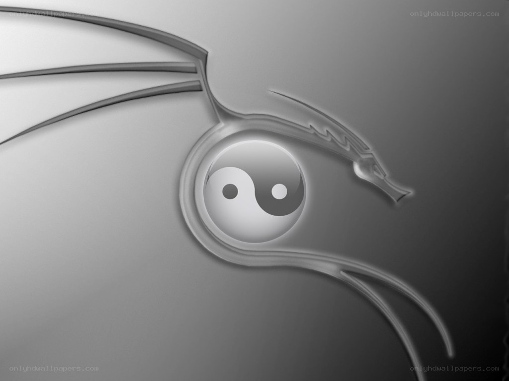 yin-yang dragon eye