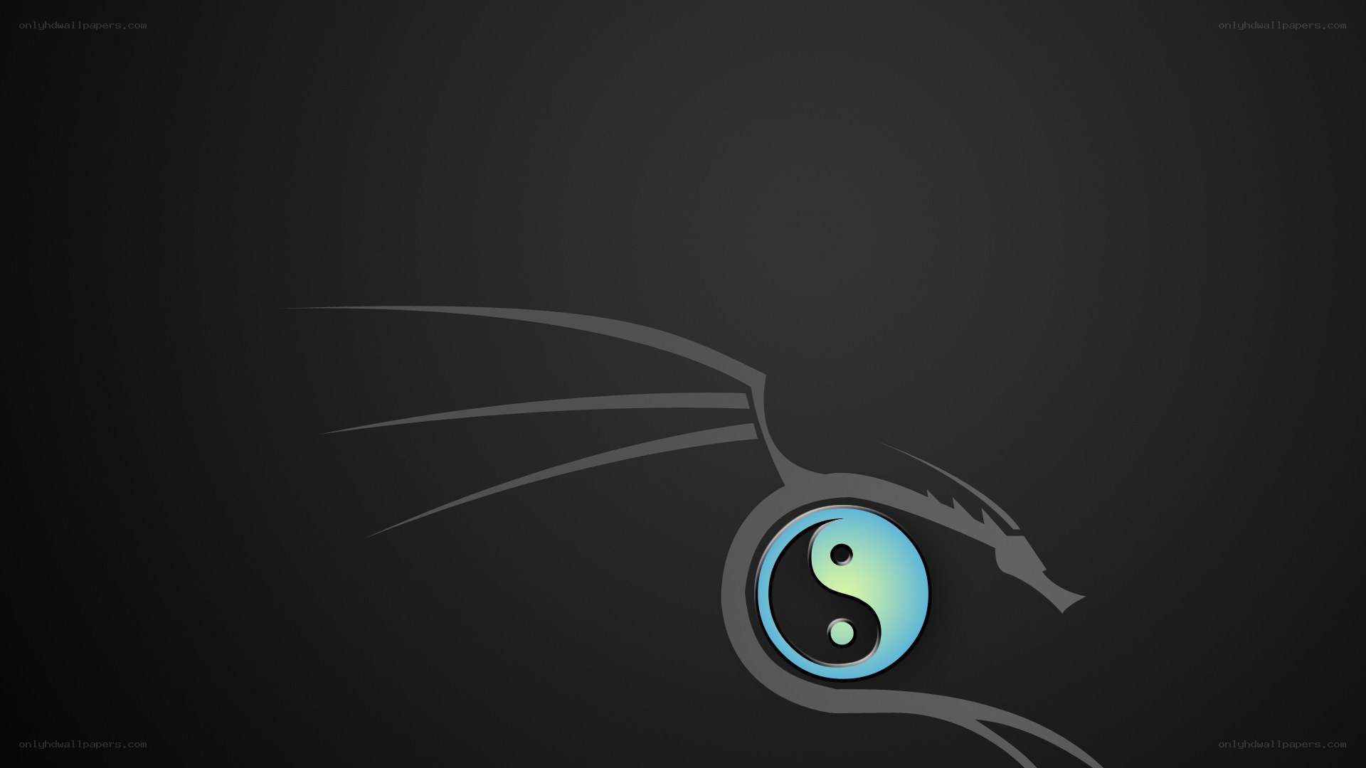 yin-yang dragon eye
