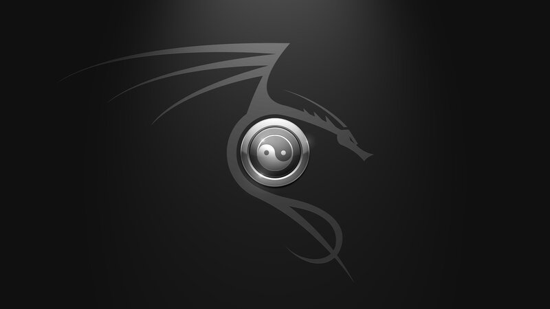 Yin-yang dragon logo