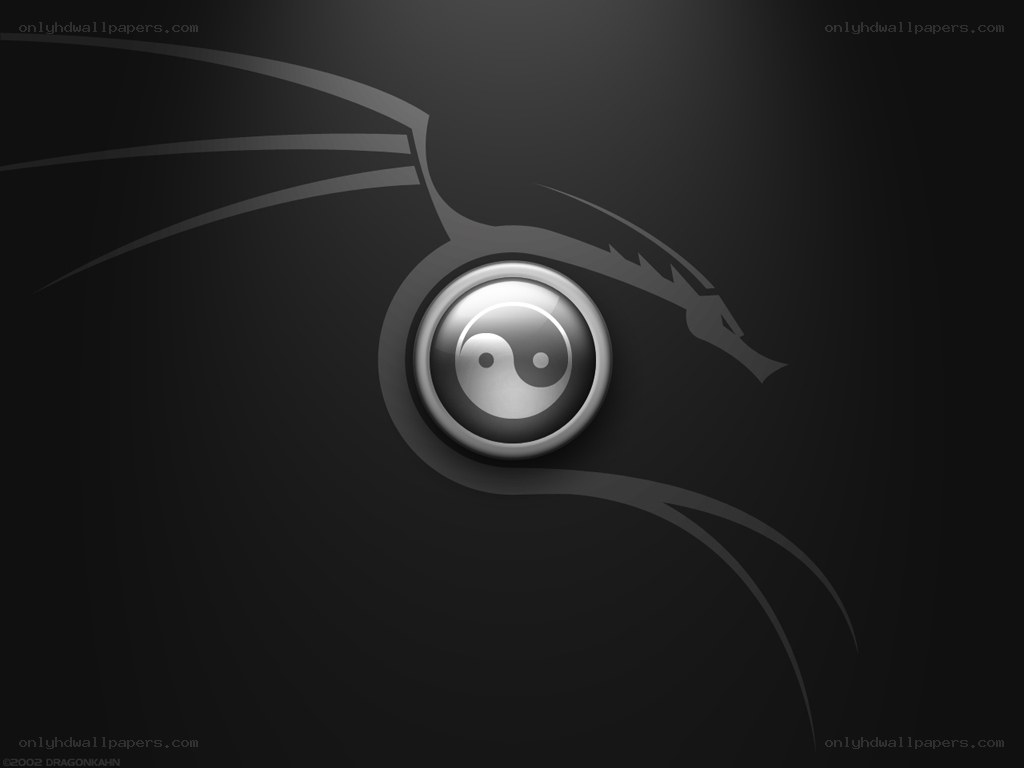 Yin-yang dragon logo