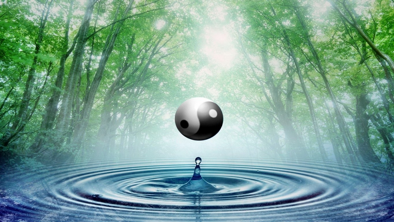 yin yang in forest water