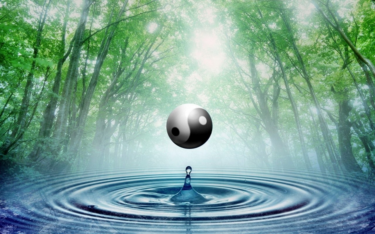 yin yang in forest water