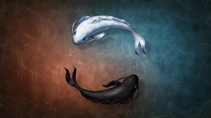 Yin-yang Koi Fish — Black