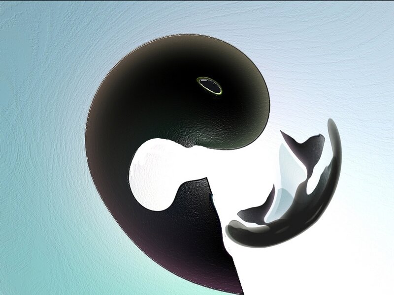 Yin-yang Symbol — Black, Calm, Abstract