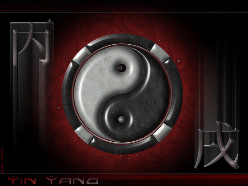 Yin Yang symbol with Chinese characters