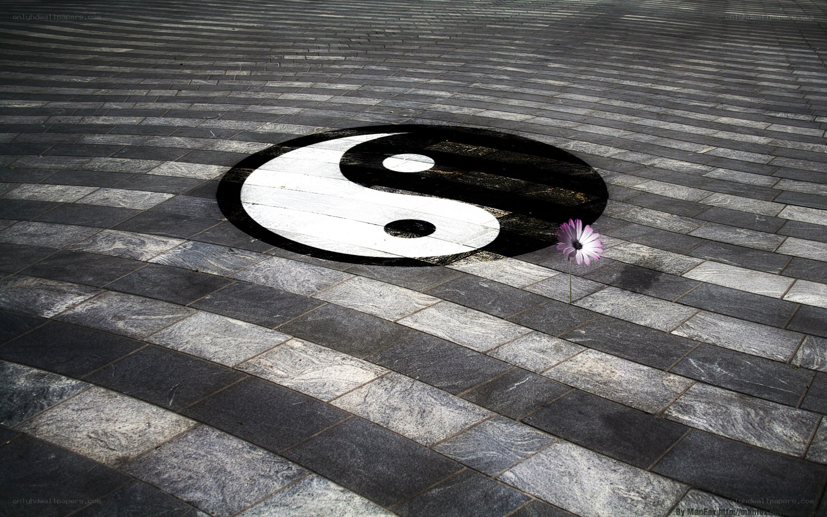 Yin-yang symbol with flower