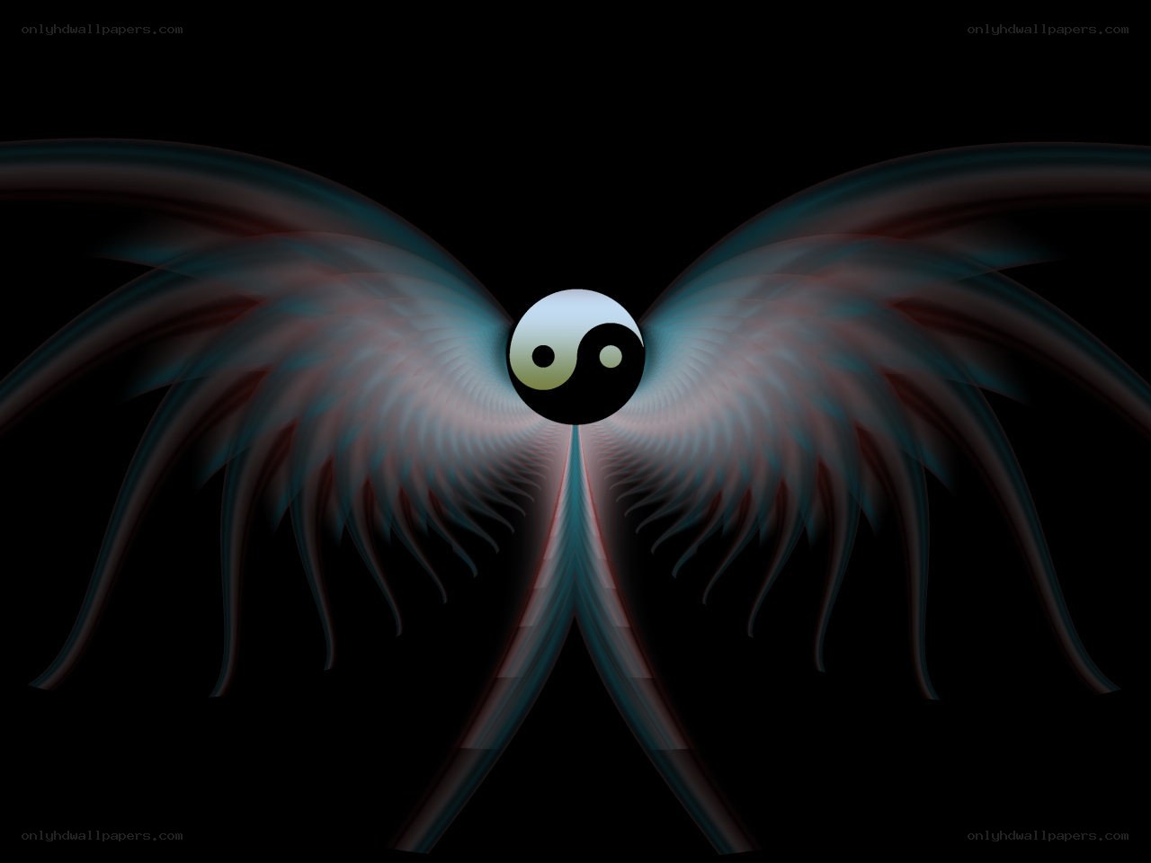 Yin-yang wings on black