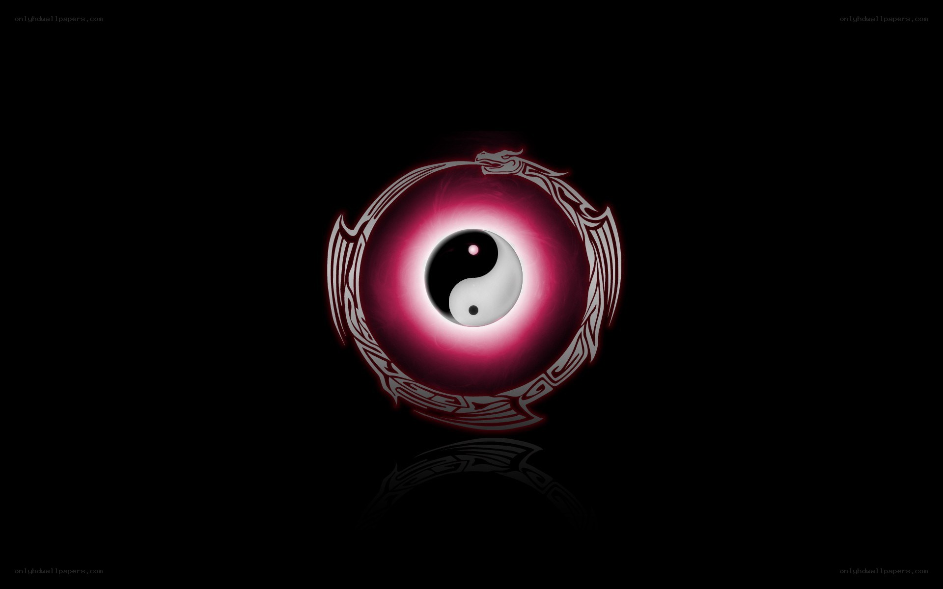 yin yang with dragon design