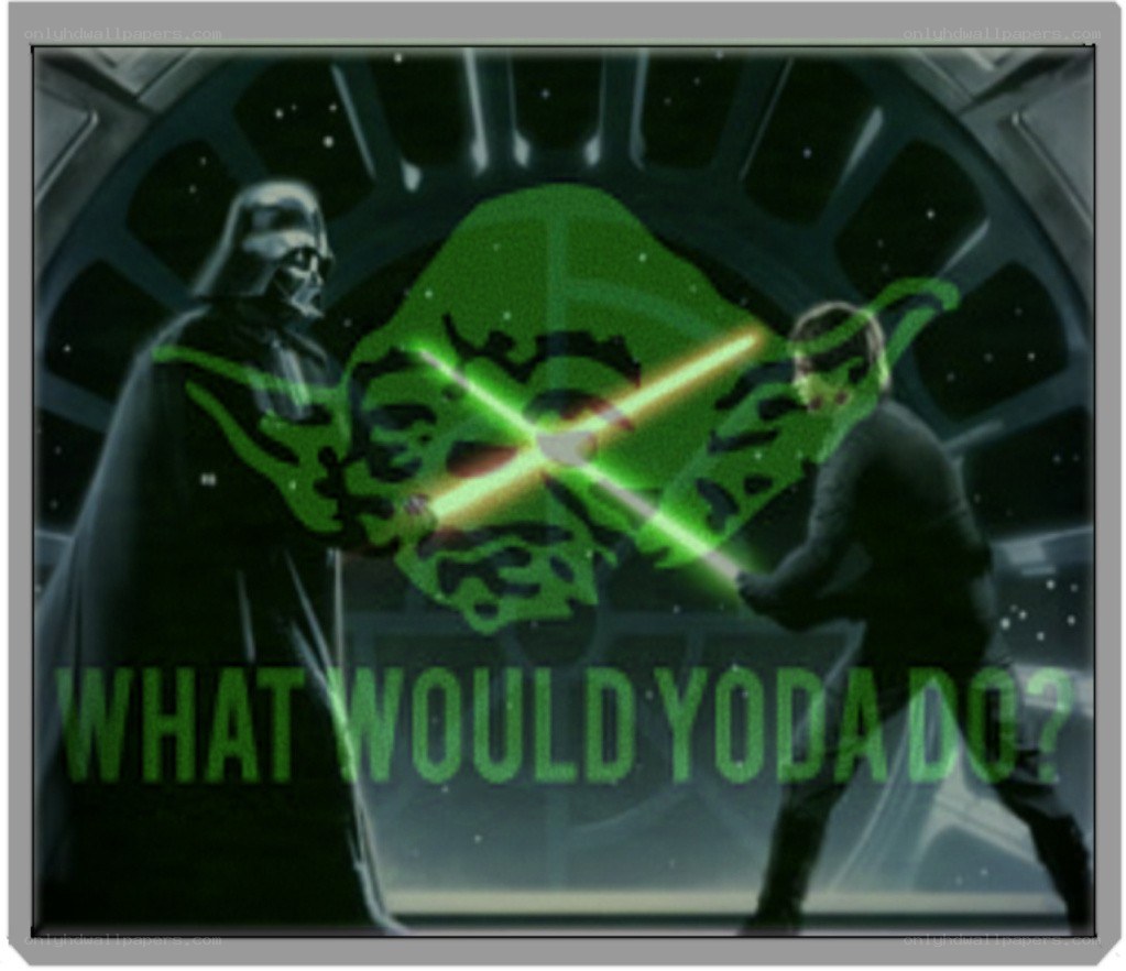 Yoda and Darth Vader scene