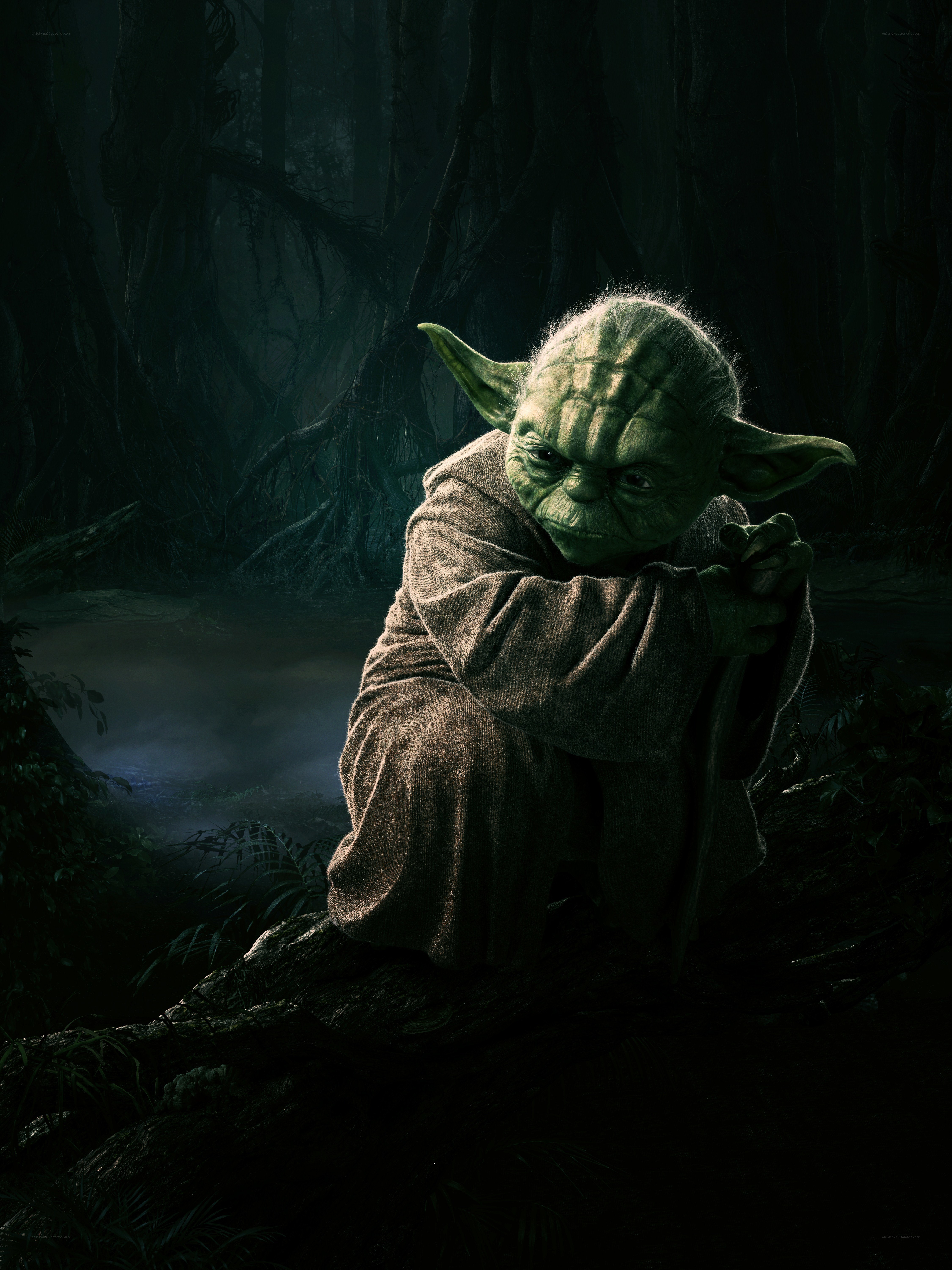 Yoda in a dark forest