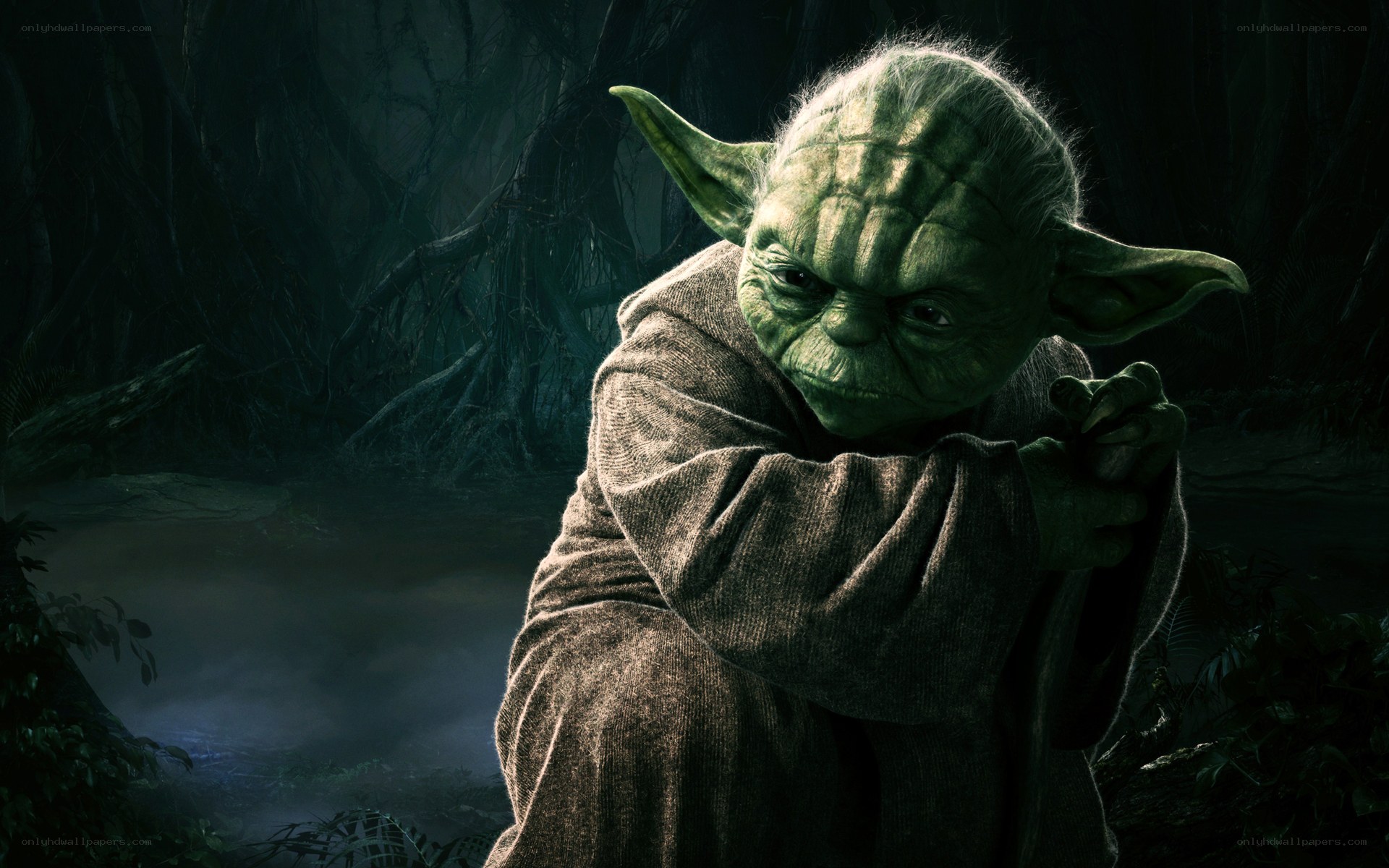 Yoda in a dark forest