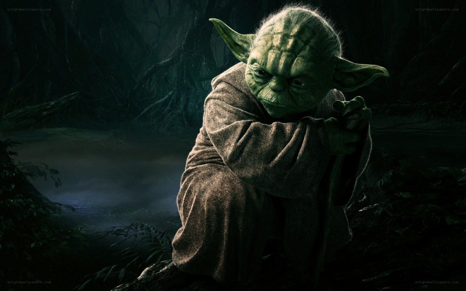 Yoda in a dark forest