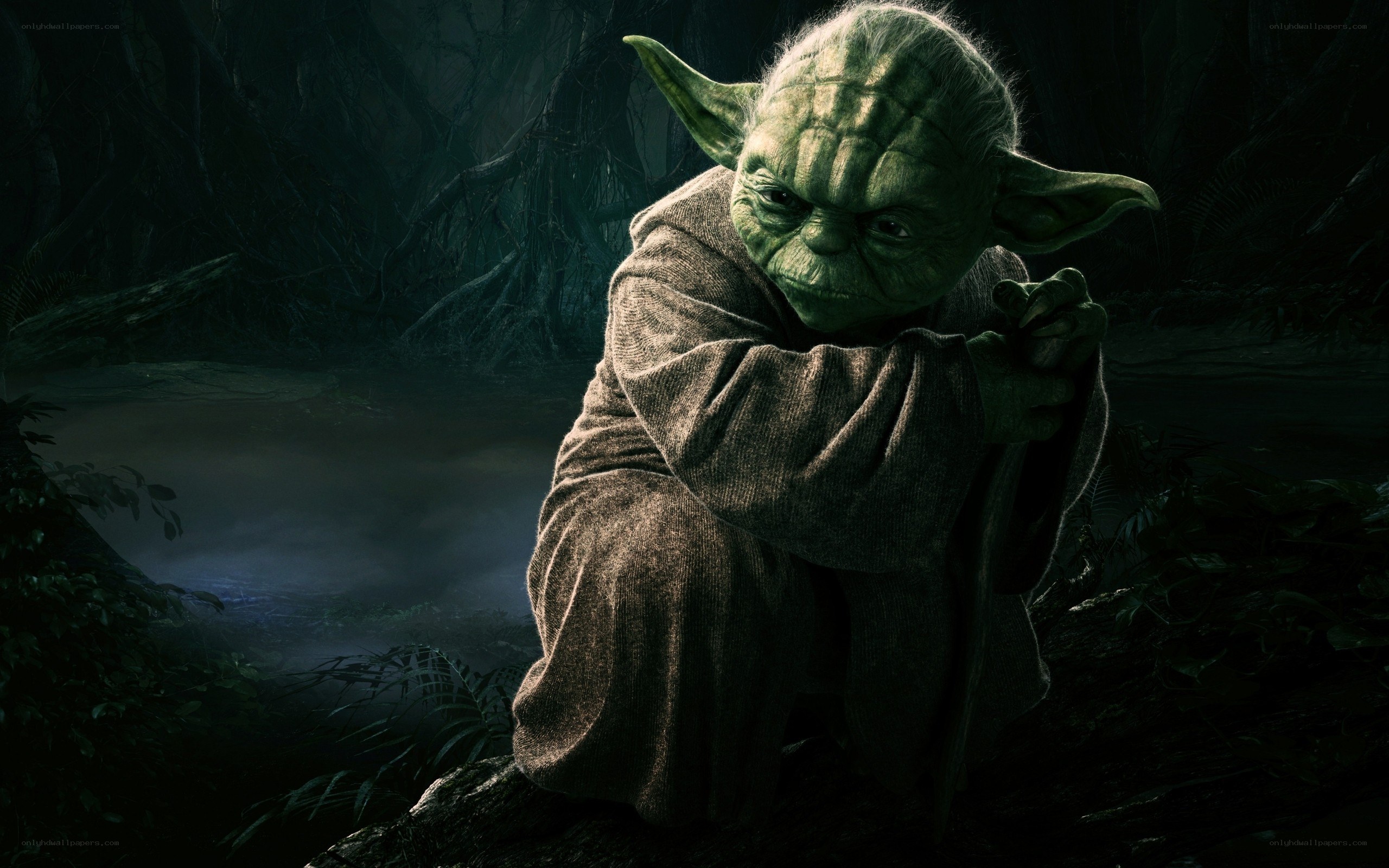 Yoda in a dark forest