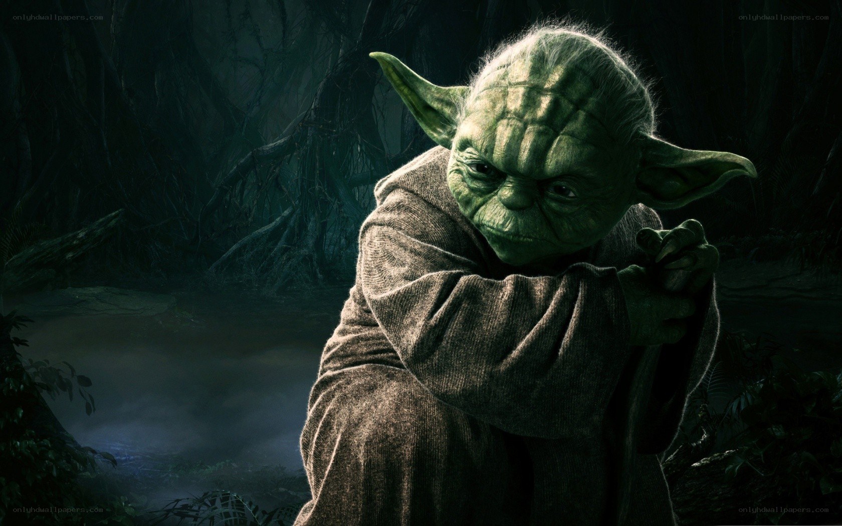 Yoda in a dark forest