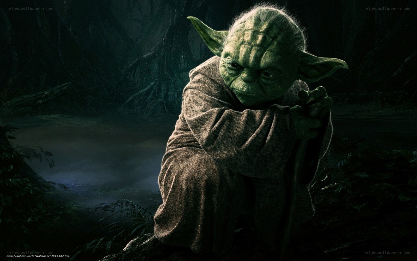 Yoda in a dark forest