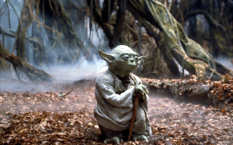 Yoda in a forest